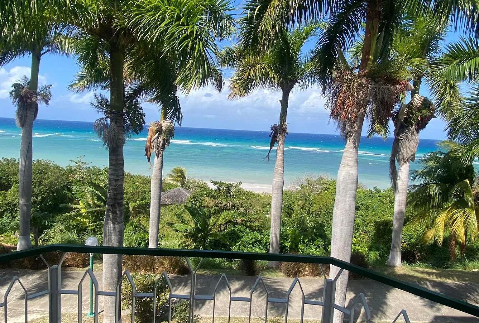 Ocean View At Sea Castles Apartment Montego Bay Jamaica